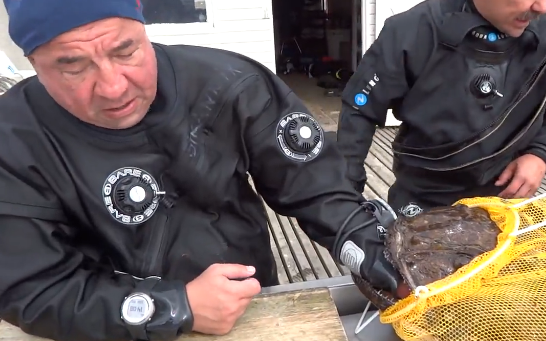 Nagy halat fogott, az meg a halászt kapta be (Videó)
