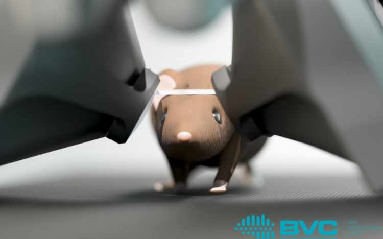 Magyar kutatók saját fejlesztésű VR eszközükkel fedezték fel a látás új mechanizmusait