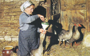 Ötvenegy települést érintő vidékfejlesztési program kezdődött megyénkben