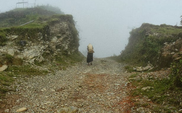 Nyomkövető kutya találta meg a zsáktolvajt
