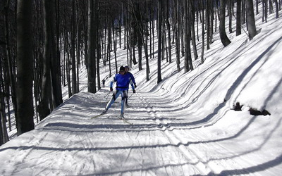 Csehországi versenyre utazott Papp Ildikó