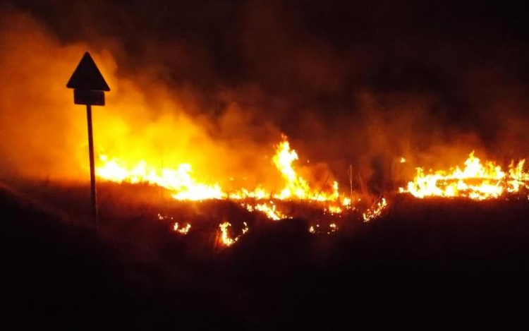 Negyvenkét vonulás szabadtéri tűzesethez