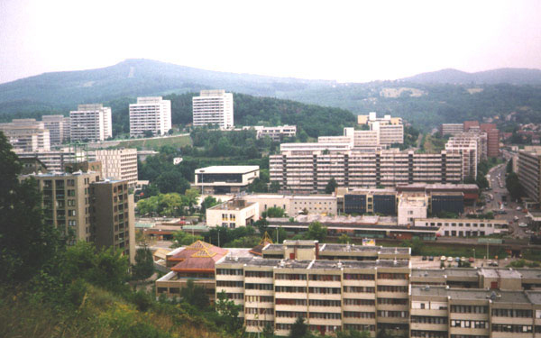 Hitel nélküli évet kezdhet Salgótarján