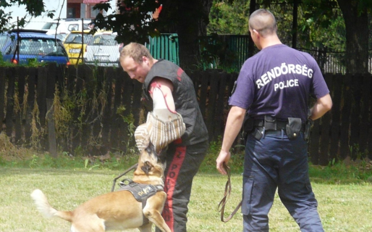 Kutyák és gazdáik képzése Balassagyarmaton