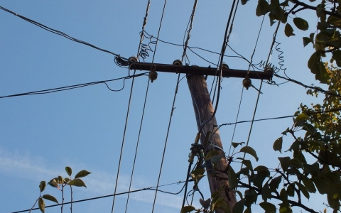 Bíróság elé áll az áramtolvaj