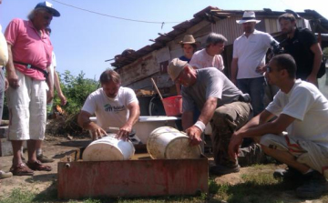 Dagassz sarat, tapassz falat!