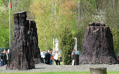 Termelői piac Ipolytarnócn