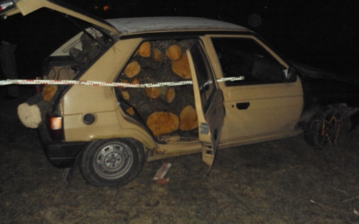 Tetten érték a fatolvajokat