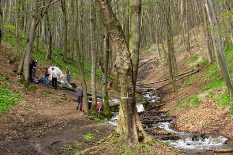 Zöldutas vidékfejlesztés és közösségépítés megyénkben