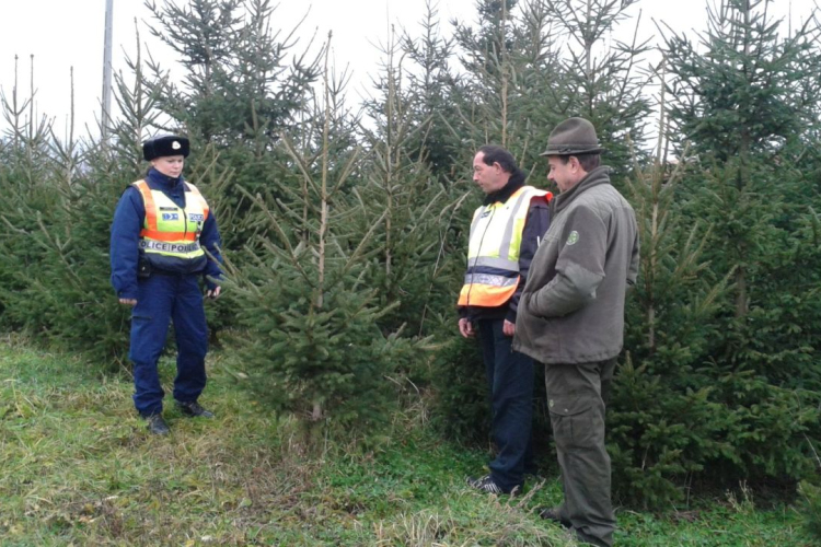 A rendet őrzik úton, mezőn és az erdőkben is