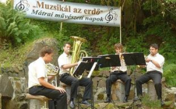 Erdő és zene összefonódása a fenntarthatóságért