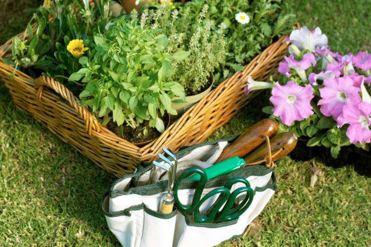 Készíts minikertet kis kosárban anyák napjára!