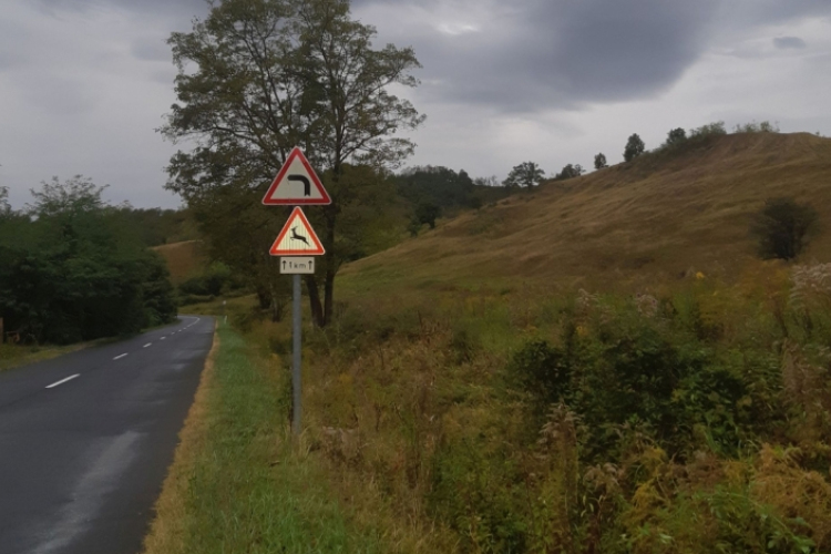 Vadszezon - nincs vége, a java még csak most jön!