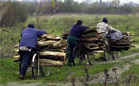 Ismét falopás miatt intézkedtek a rendőrök