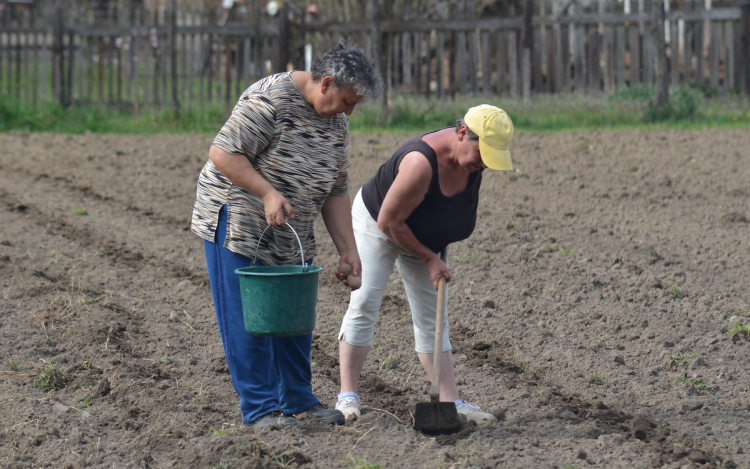 Csesztvén és Karancsalján megkezdődött az Élelmiszerlavina-program