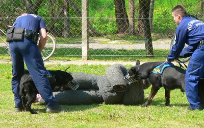 Rendőrségi bűn-és balesetmegelőzési nap Mátraverebélyben