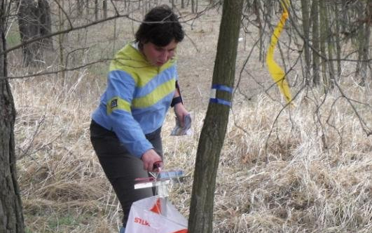 Tájékozódási futóverseny Salgótarjánban