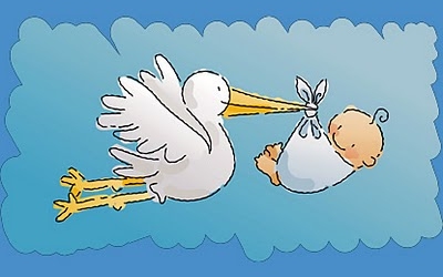 Dorogházára érkezett kisbabával az idei első nógrádi gólya