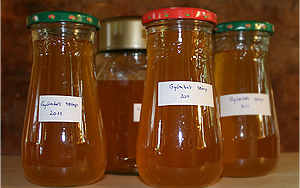 Egyéni vállalkozókat ellenőriznek a szécsényi járásban