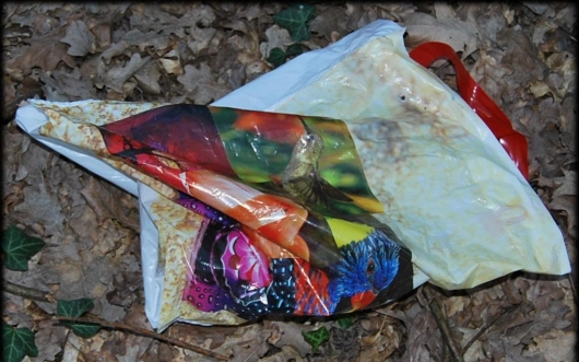 Balassagyarmati csecsemőgyilkosság: 300 ezer forint nyomravezetői díj