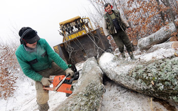 Megkezdődött a téli erdei közfoglalkoztatás az Ipoly Erdő Zrt.-nél