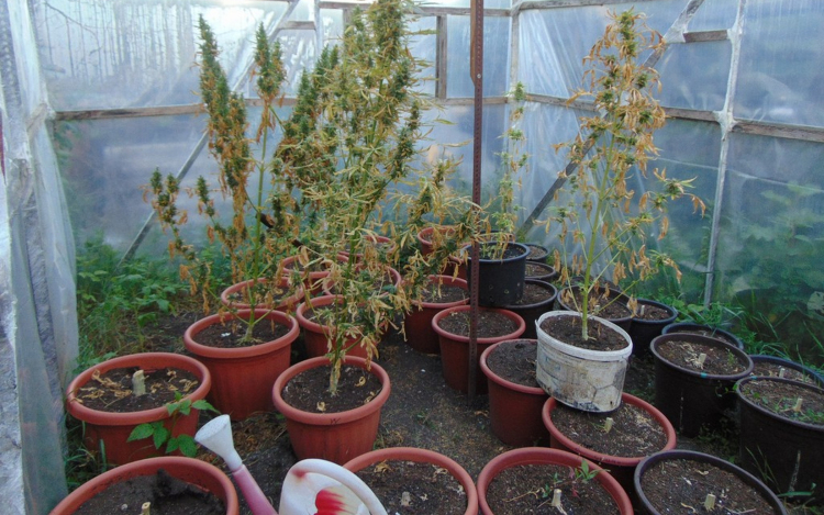 Kábítószer birtoklása Nógrádban - videó