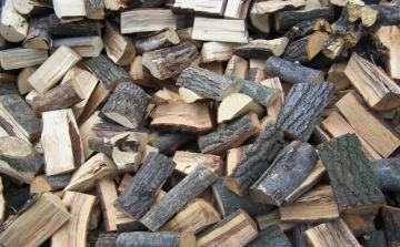 Az erdő szélén hasogatták a lopott akácfát 