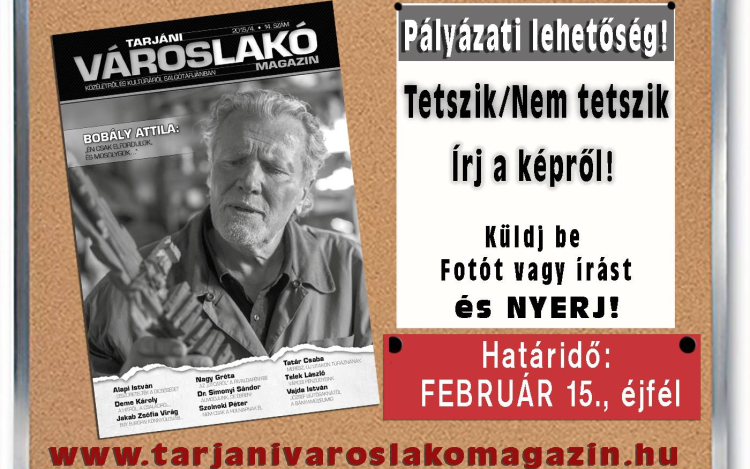 Pályázati felhívás