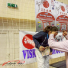 VIII. PALÓC KUPA Karate Országos Bajnokság