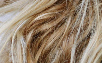 Vádemelési javaslat a garázda ügyében