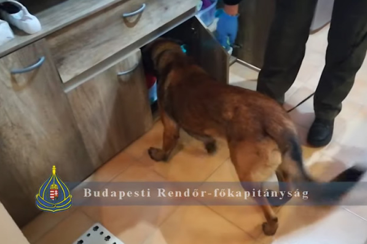 Huszonnyolcmillió forint értékű kábítószert foglaltak le Újpesten - VIDEÓ