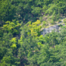 Nemzeti Kegyhelyünk. Mátraverebély-Szentkút.