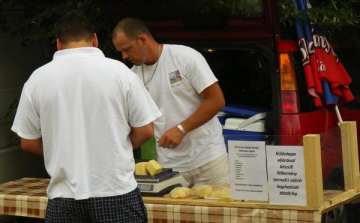 Palóc piac Ipolytarnócon