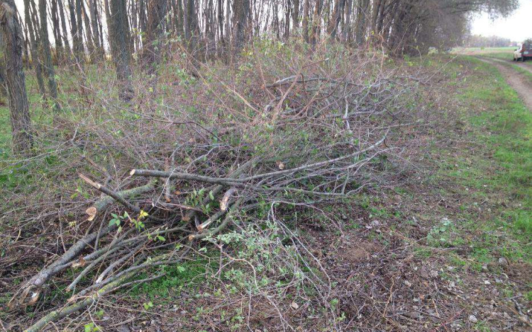 Falopás Galgagután