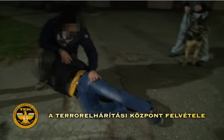 Irodaházakba, áruház raktárába törtek be - videóval