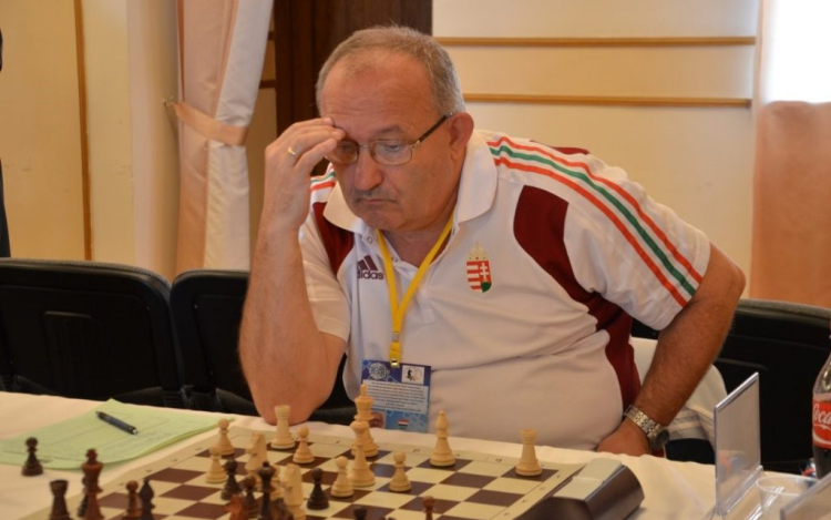 Frink Ferenc - A Palóc varázsló.