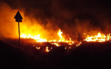 Negyvenkét vonulás szabadtéri tűzesethez