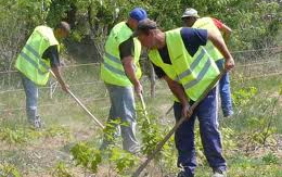 Tovább növekszik a közfoglalkoztatottak száma Salgótarjánban