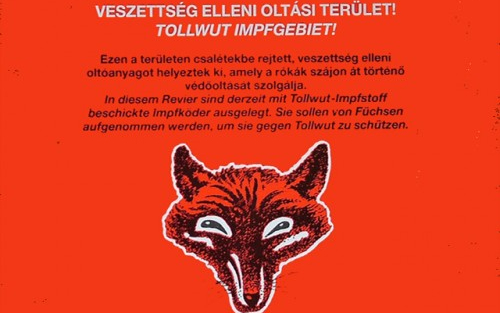 Ebzárlat és legeltetési tilalom van érvényben