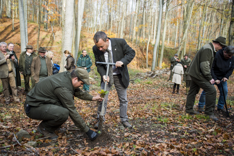 FM: az erdőgazdaságok több mint 16 milliárdot költöttek az erdei turizmus fejlesztésére