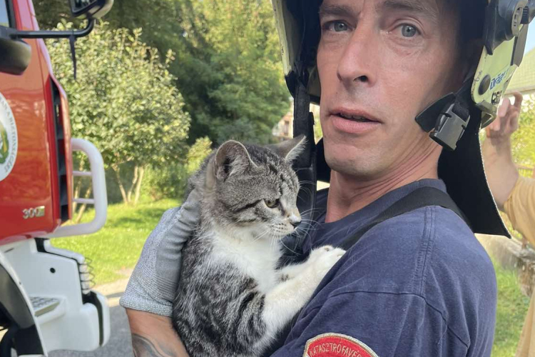 Kútból mentettek ki egy macskát az ajkai tűzoltók