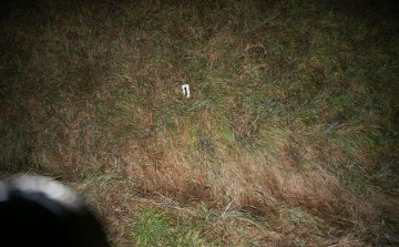 Rablás kísérlet miatt felelnek