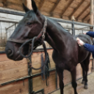 Megerősítő szolgálat Kállón