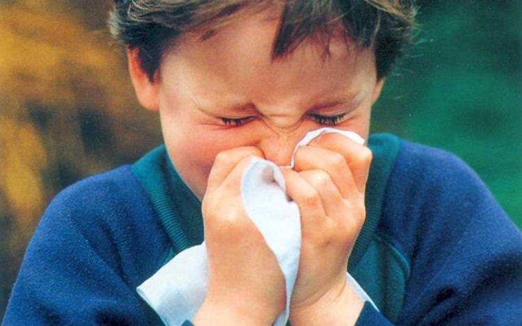 Tetőzött az influenzajárvány Magyarországon