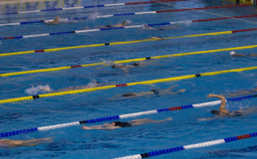 Salgótarjáni úszó sikere