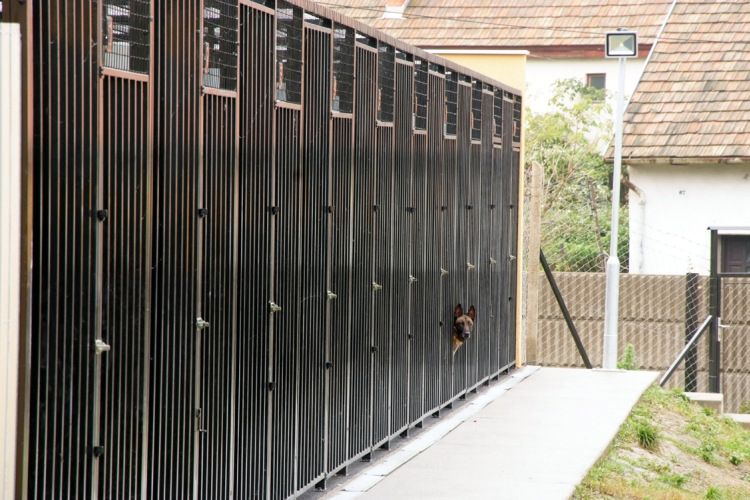 Új kutyakennelek átadása