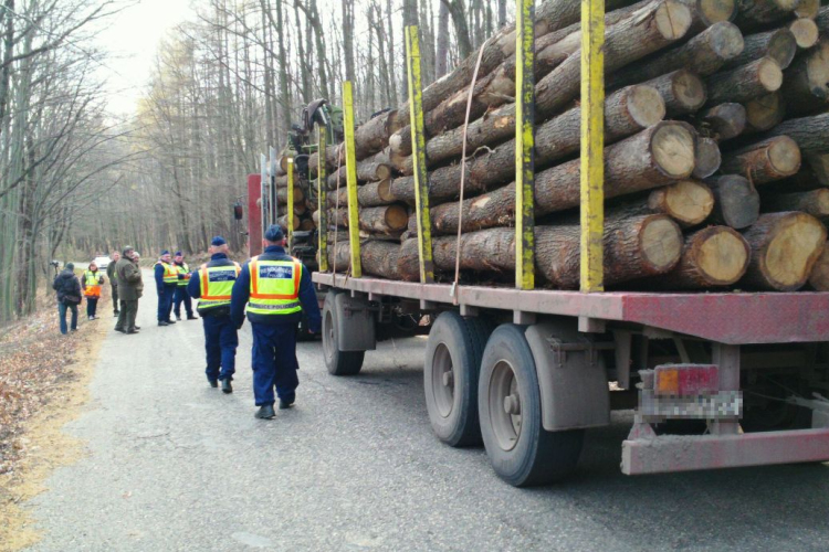 Fokozott ellenőrzést tartottak - videóval
