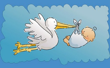 Dorogházára érkezett kisbabával az idei első nógrádi gólya