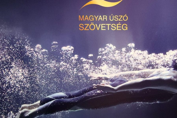 Tisztújító közgyűlésről döntött a MÚSZV