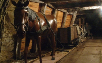 Nagy volt az érdeklődés a Múzeumok Éjszakáján